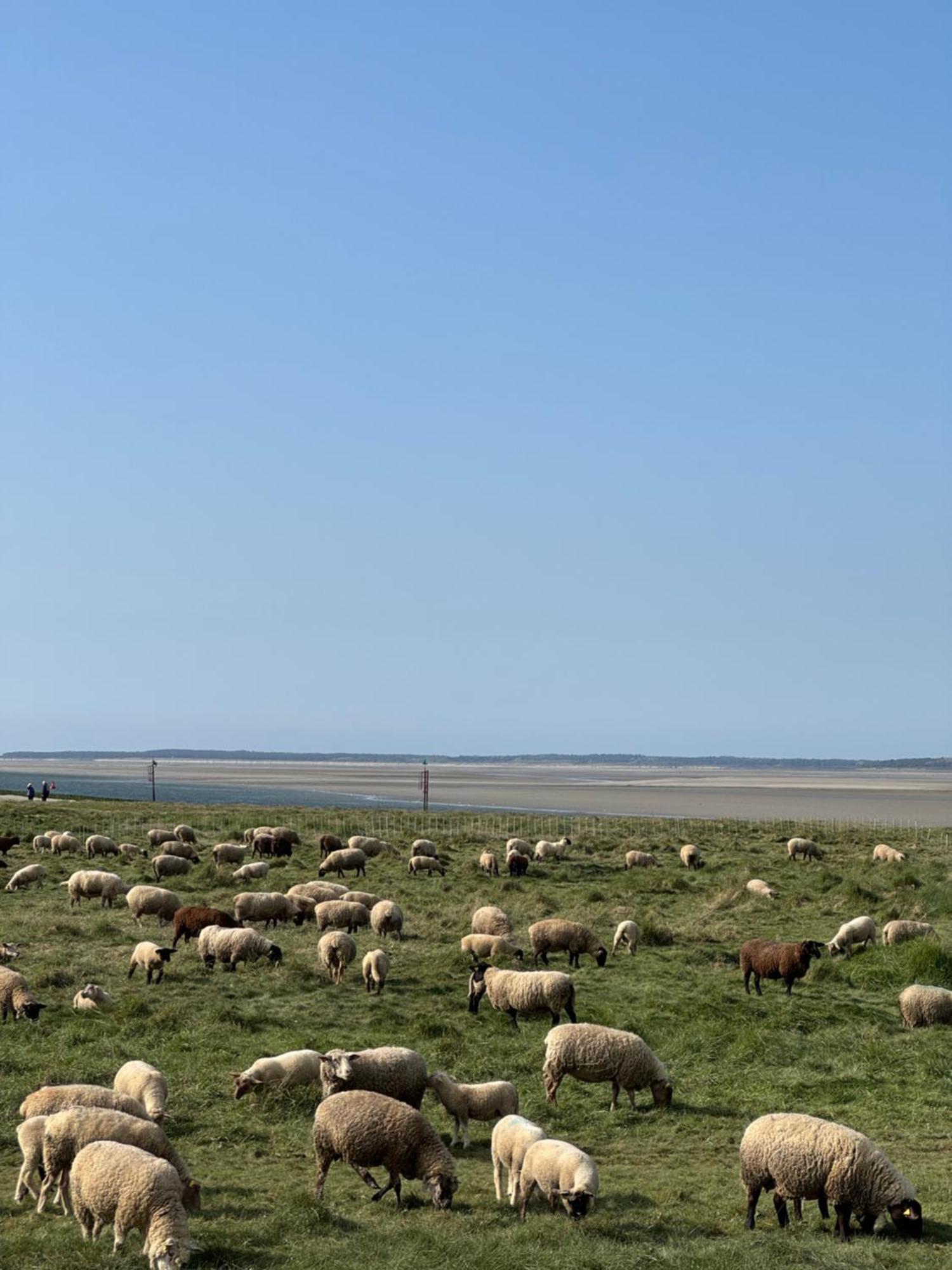 Gite Du Flot - Baie De Somme Boismont  エクステリア 写真